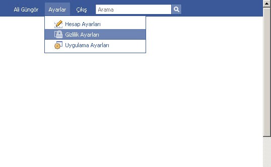 Facebook'ta gizlilik rehberi - Resim: 2