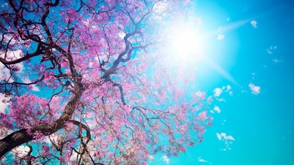 Yeni 31 Duvar Kağıdı! - Resim: 29