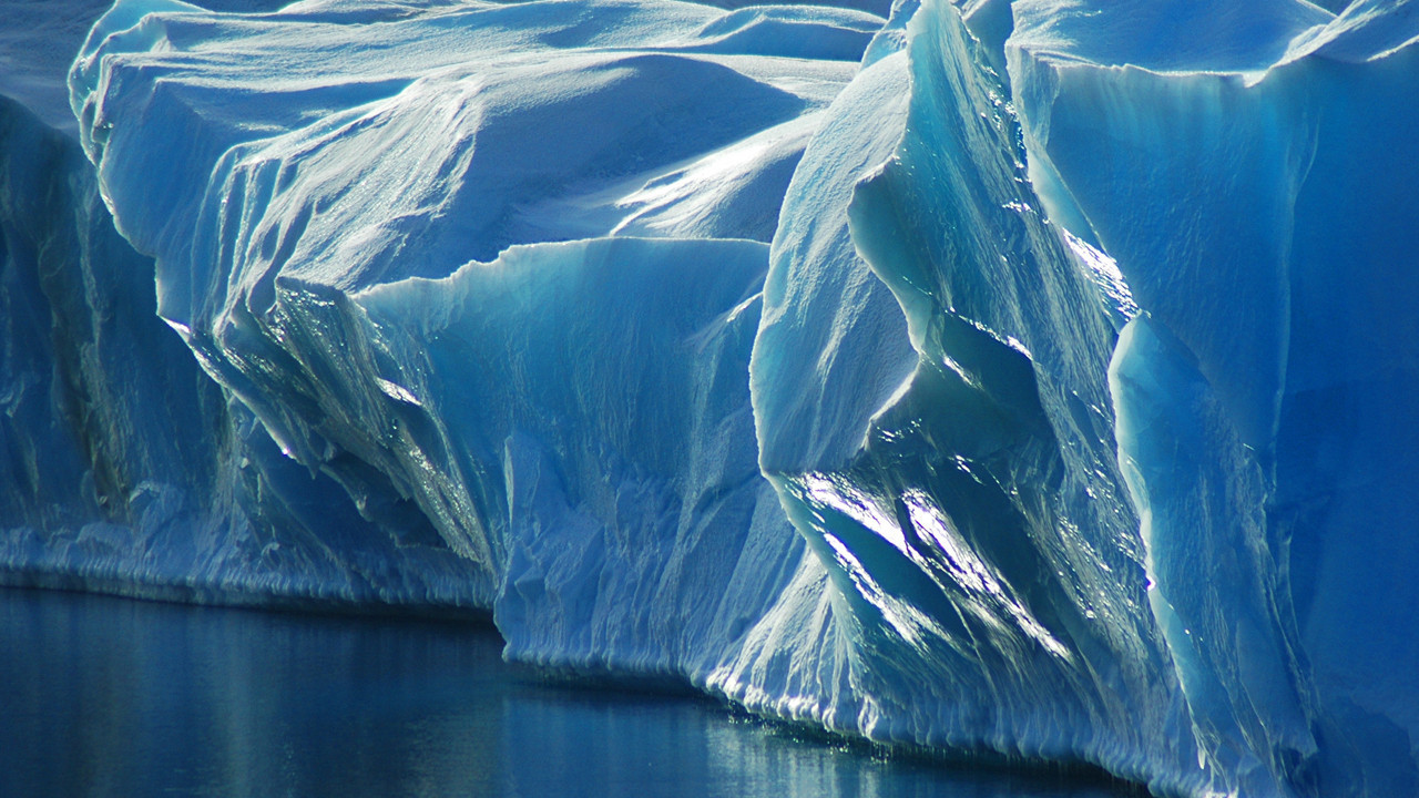 Tesadüf değil, strateji: Batık gemiyi ararken "balık şehri" buldular