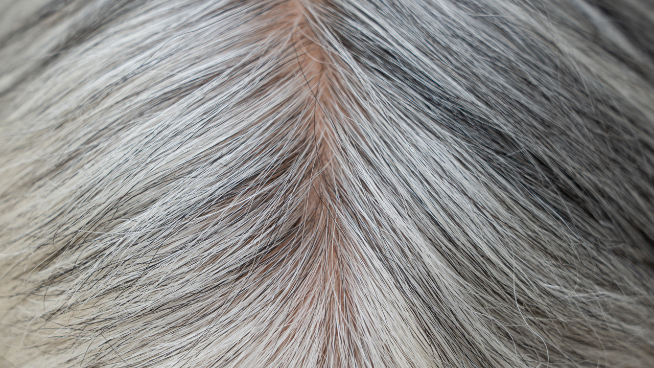 Beyazlayan saçların gizemi: Kanser savunması mı, yaşlanma mı?