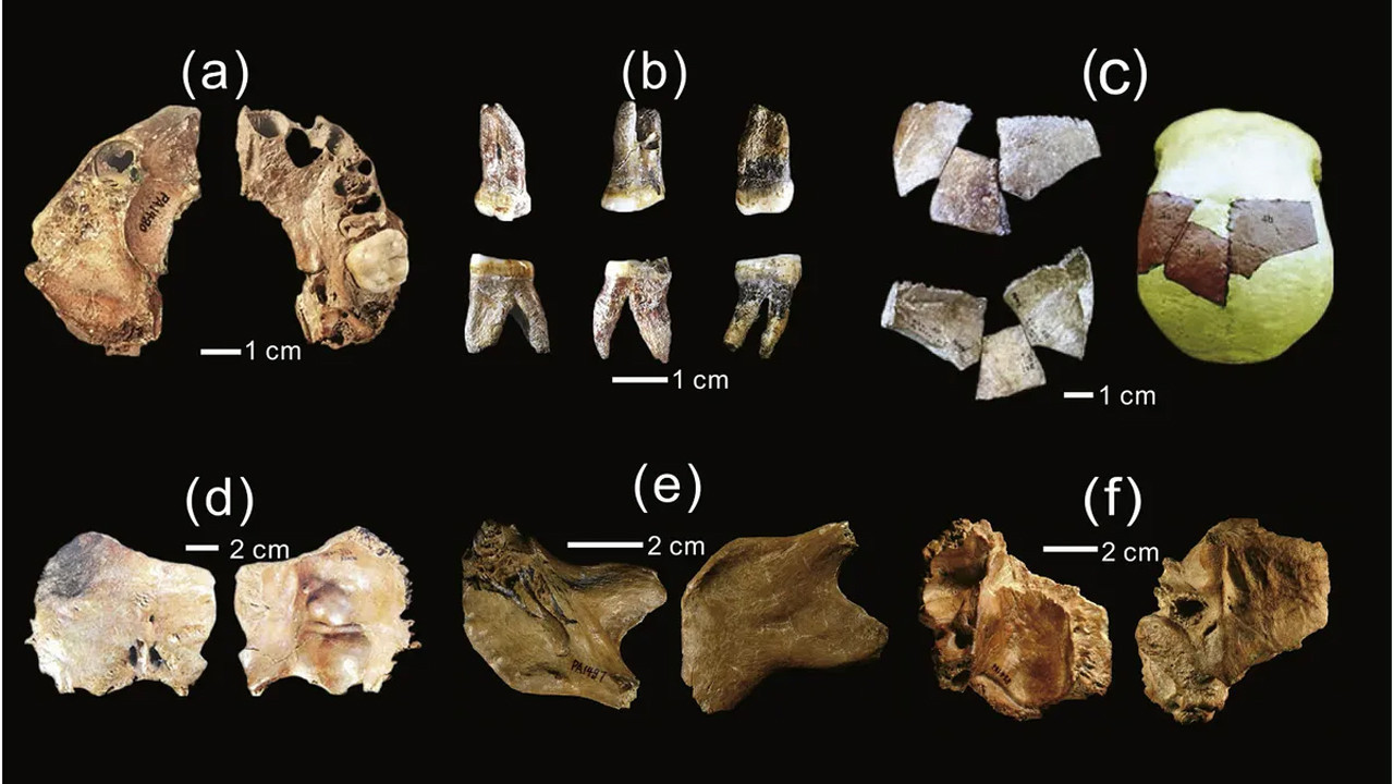 İnsanlık tarihindeki büyük boşluk doluyor mu? Çin'in "büyük kafalı" insanıyla tanışın