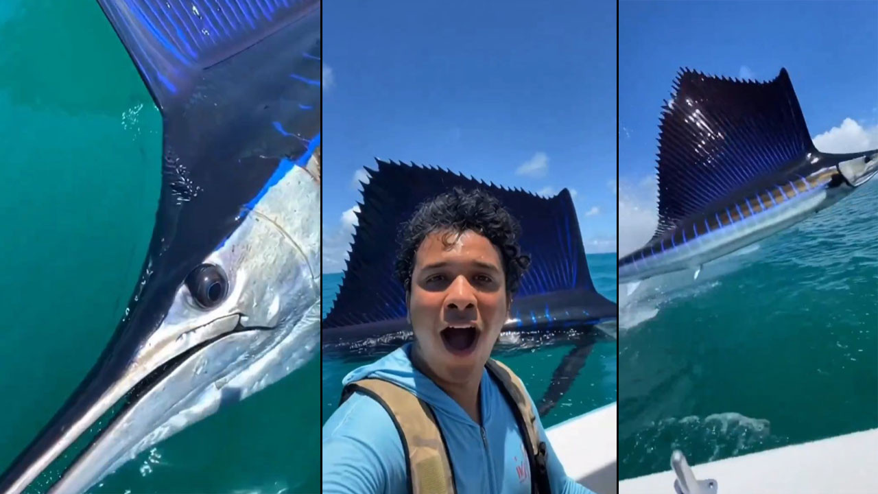 Yapay zeka mı gerçek mi? Mavi marlin karşılaşması viral oldu