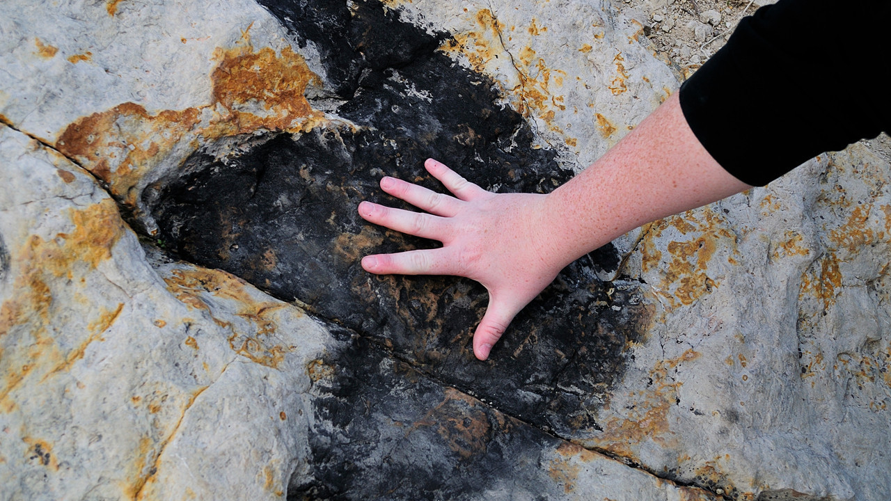 Yapay zeka, şimdi de dinozor ayak izlerini okumayı öğrendi