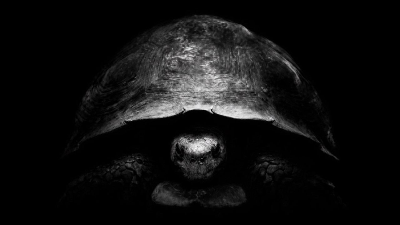 Jeff Bezos’tan kaplumbağalı mesaj: Ay yarışında yeni strateji savaşı