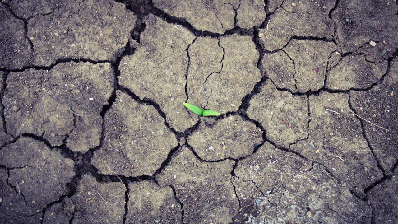 En kritik eşik yaklaşıyor: Dünya ne kadar daha dayanır?