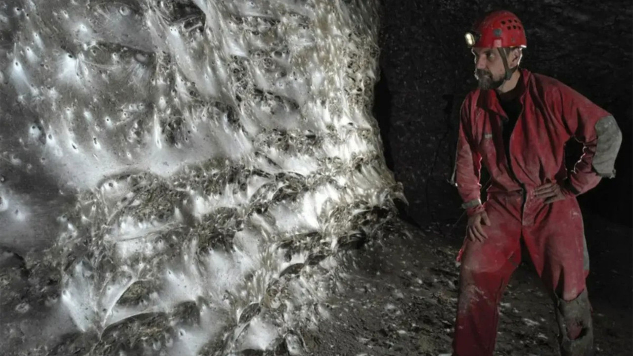 111 bin örümceğin ördüğü devasa ağ, bilim insanlarını bile şaşırttı