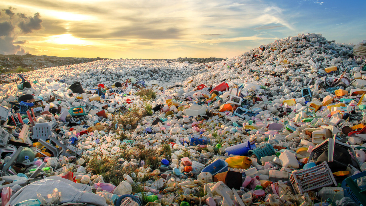 Columbia Üniversitesi'nden araştırmacılar plastik ve suyun etkileşiminin hücrelere zarar verdiğini belirledi