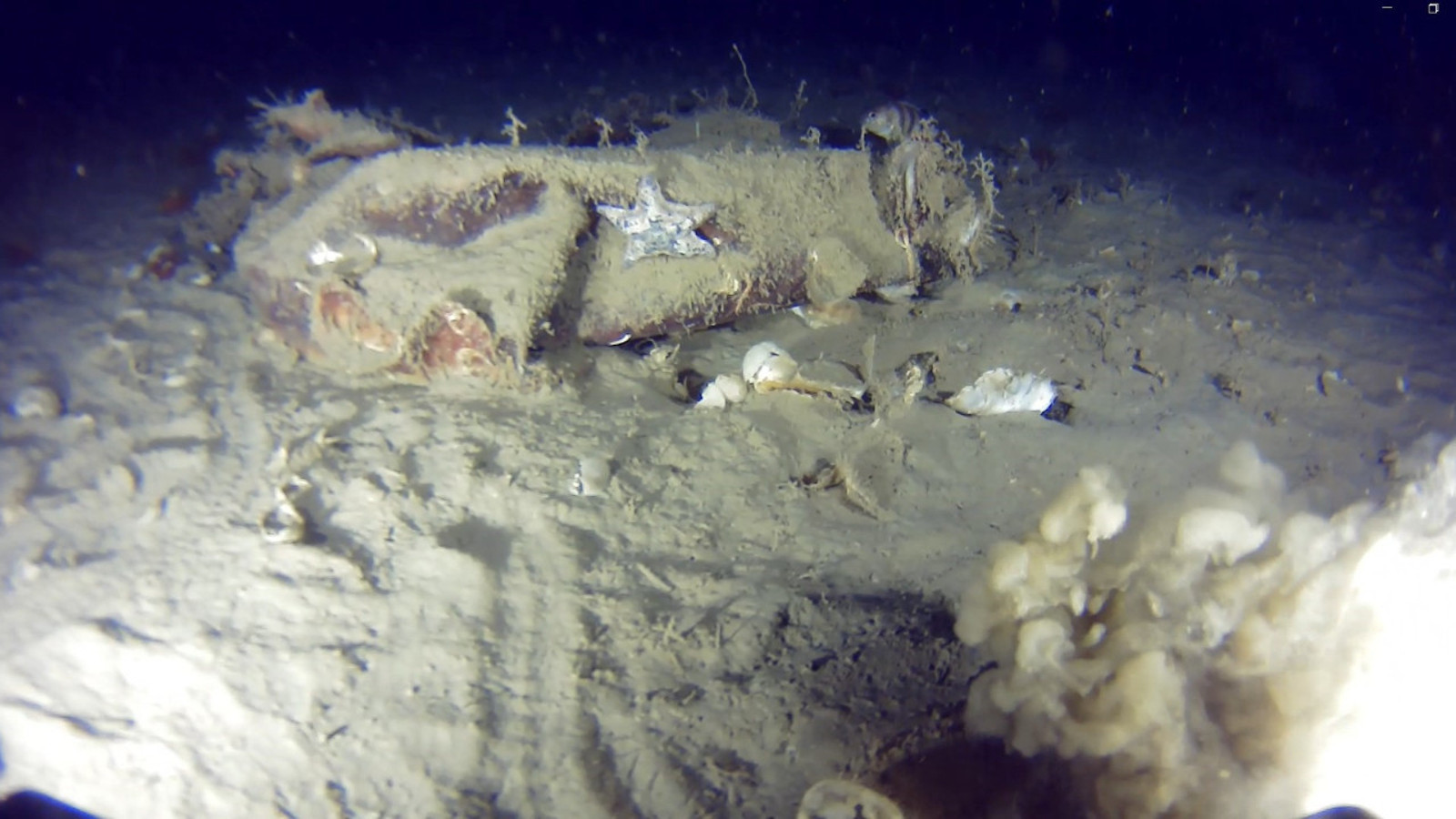 Marmara'nın dibindeki 51 yıllık Bursa uçağı gizemi çözülüyor: Yeni görüntüler ortaya çıktı