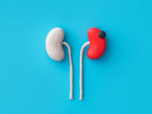 Böbrek kanseri nedir? Belirtileri neler? Soru ve cevaplarla böbrek kanseri...