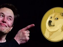 Elon Musk'ın DOGE web sitesi, yol geçen hanına dönmüş