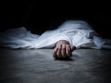 Canlıların gizemli ışığı: Ölümle sönüyormuş