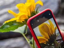 3 Adımda iPhone'unuzu akıllı bir tanıma aracına dönüştürün!