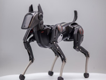 ChatGPT destekli, futbol oynayabilen robot köpek: Sirius ile tanışın!