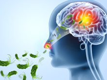 "Beyin yiyen amip", bir tatilin daha trajedi ile sonuçlanmasına yol açtı