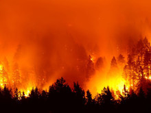 Türkiye'de çıkan büyük yangınların sorumlusu kim?