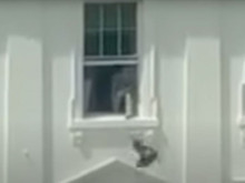 Sosyal medyada viral olan Beyaz Saray görüntüsü gerçek mi yapay zeka mı?