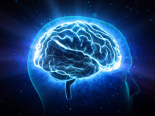 Bilim insanları, beyni hücre hücre haritalamayı başardı