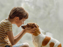 Köpeklerle büyüyen bebeklerde astım riski yarı yarıya düşüyor