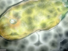 40 bin yıllık sessizlik bozuldu, donmuş mikroplar yeniden canlandı