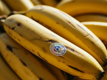Google’ın yeni yapay zekası Nano Banana, ekosistemine hızla yayılıyor