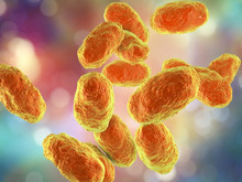 Hiç bilmeseniz de Dünya'nın en ölümcül virüsü o: Haemophilus influenzae tip B