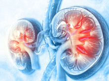 Organ naklinde kan grubu uyum zorunluluğu bitiyor mu?