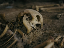 Arkeologlar, bir iskeletin cinsiyetini nasıl anlayabiliyor?