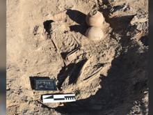 4.000 yıllık gizem: Benzeri daha önce hiç görülmedi