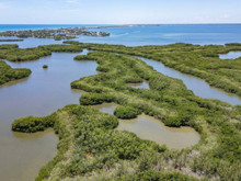 Blue Origin’in atık su planı Florida’yı karıştırdı: Ekosistem tehlikede mi?