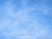 Parlak gökyüzüne bakarken gördüğümüz tuhaf noktacıklar ne anlama geliyor?