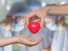 Organ nakli sonrası karakter değişimi: Bilim bu tuhaf dönüşümü nasıl açıklıyor?