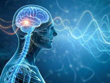 Kalbin "gençlik iksiri" bulundu: Vagus siniriyle gelen hücresel mucize