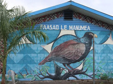 12 yıl sonra gelen güzel haber: "Küçük Dodo" için yeni bir umut ışığı