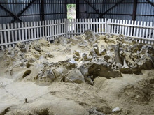 Mamut kemiğinden evler: Atalarımızın dondurucu soğukla imtihanı