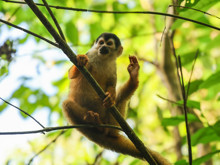 Neden ayak parmaklarımızı ellerimiz gibi kullanamıyoruz?