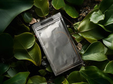 Sadece bitkilerden üretilen yepyeni piller geliyor