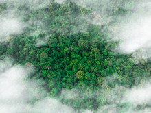 Metan gazındaki rekor artışın suçlusu bulundu