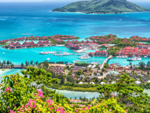 Chikungunya alarmı: Tropik cennetlere gidenleri bu kez Güneş değil, virüs bekliyor