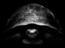 Jeff Bezos’tan kaplumbağalı mesaj: Ay yarışında yeni strateji savaşı