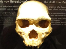 Kayaların içinden çıkan antik kafatası: Petralona Adamı kimin atası?