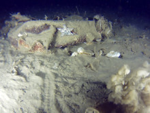 Marmara'nın dibindeki 51 yıllık Bursa uçağı gizemi çözülüyor: Yeni görüntüler ortaya çıktı