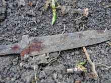 Tunç Çağı hazinelerindeki büyük sır: Demir parçaları uzaydan mı geldi?