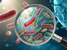 COVID-19'da BA.3.2 alarmı: Bağışıklık kalkanını delip geçiyor