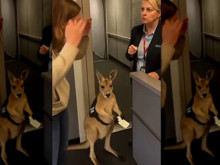 Gözlerinize ne kadar güvenebilirsiniz? Yapay zeka videolarını ele veren kritik ipuçları