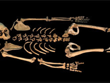 Neandertallerin 40 bin yıllık cenaze ritüeli ortaya çıktı