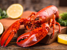 Mutfaktaki etik kriz: Istakozların acı çektiği bilimsel olarak kanıtlandı