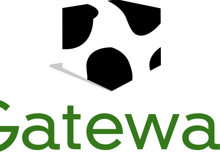 İnek desenli kutuların büyük düşüşü: PC devi Gateway neden kayboldu?