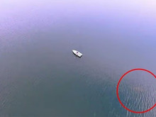 Suların altındaki iki asırlık sır: Amerika'nın Nessie'si kameraya yakalandı