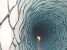 Antarktika'da 183 metre derine kamera indirdiler, gördüklerini kimse beklemiyordu
