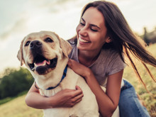 Köpeklerin gizli yeteneği: Yüzümüzdeki duyguları nasıl anlıyorlar?